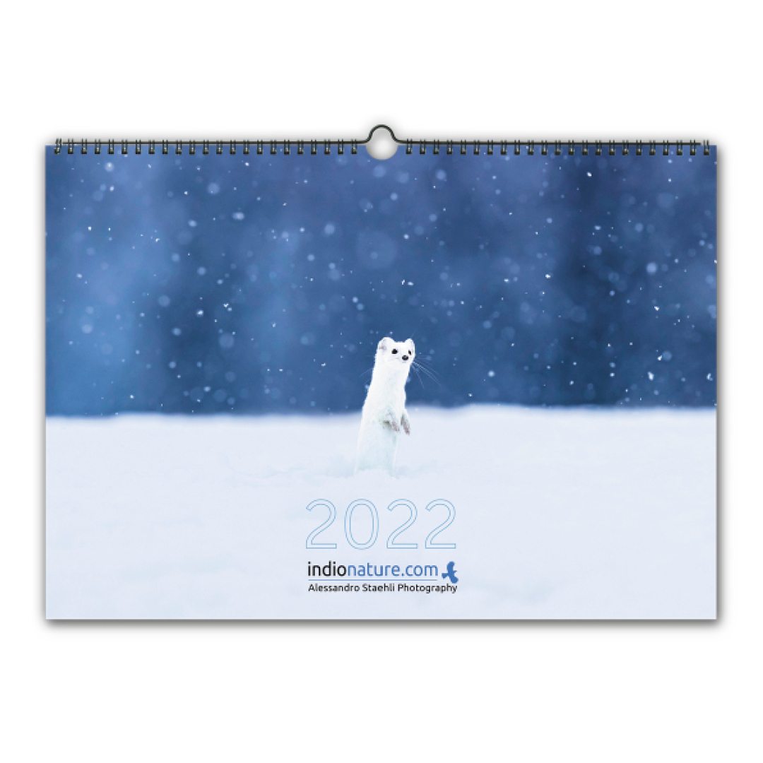 TEST-Calendrier photo mural 2022