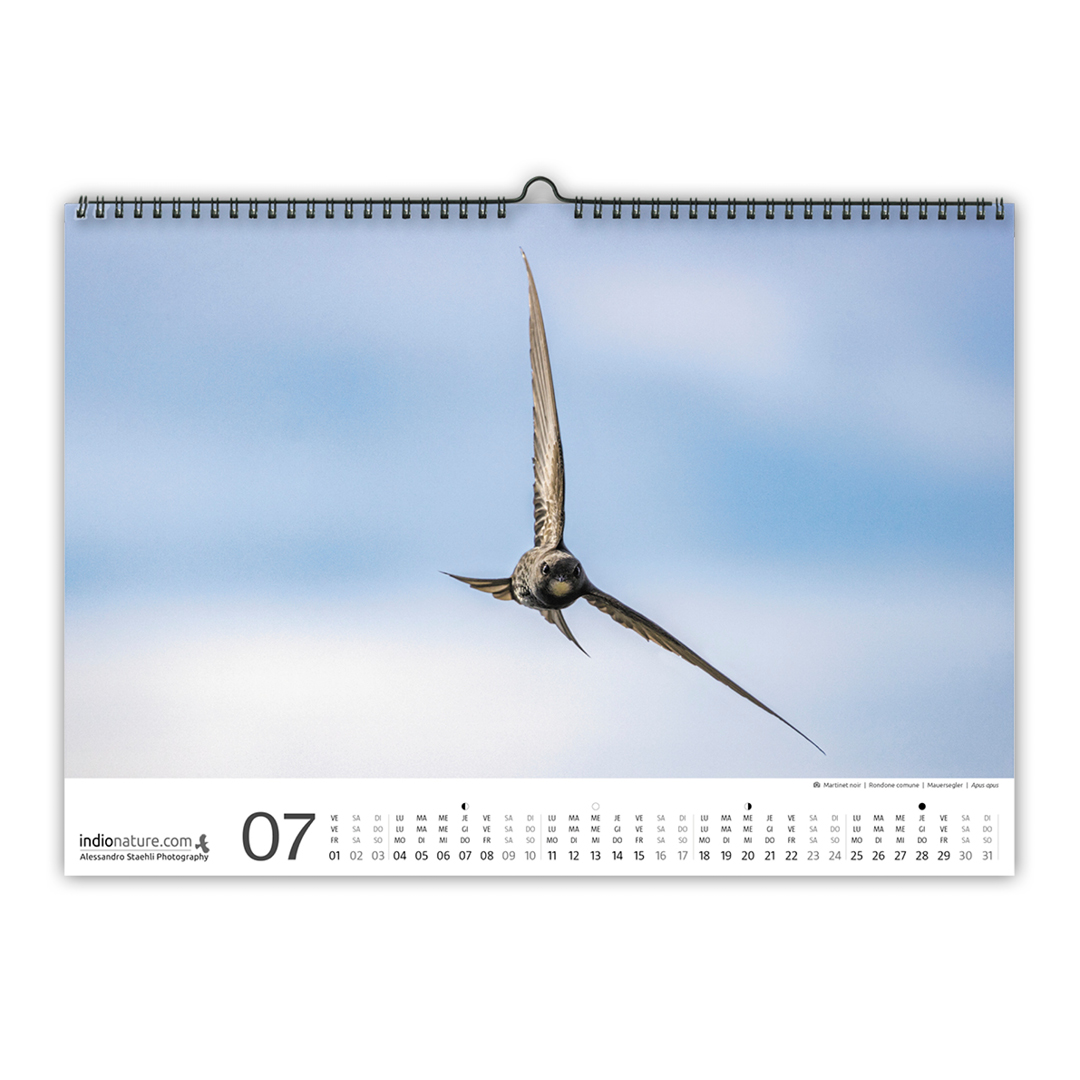 TEST-Calendrier photo mural 2022