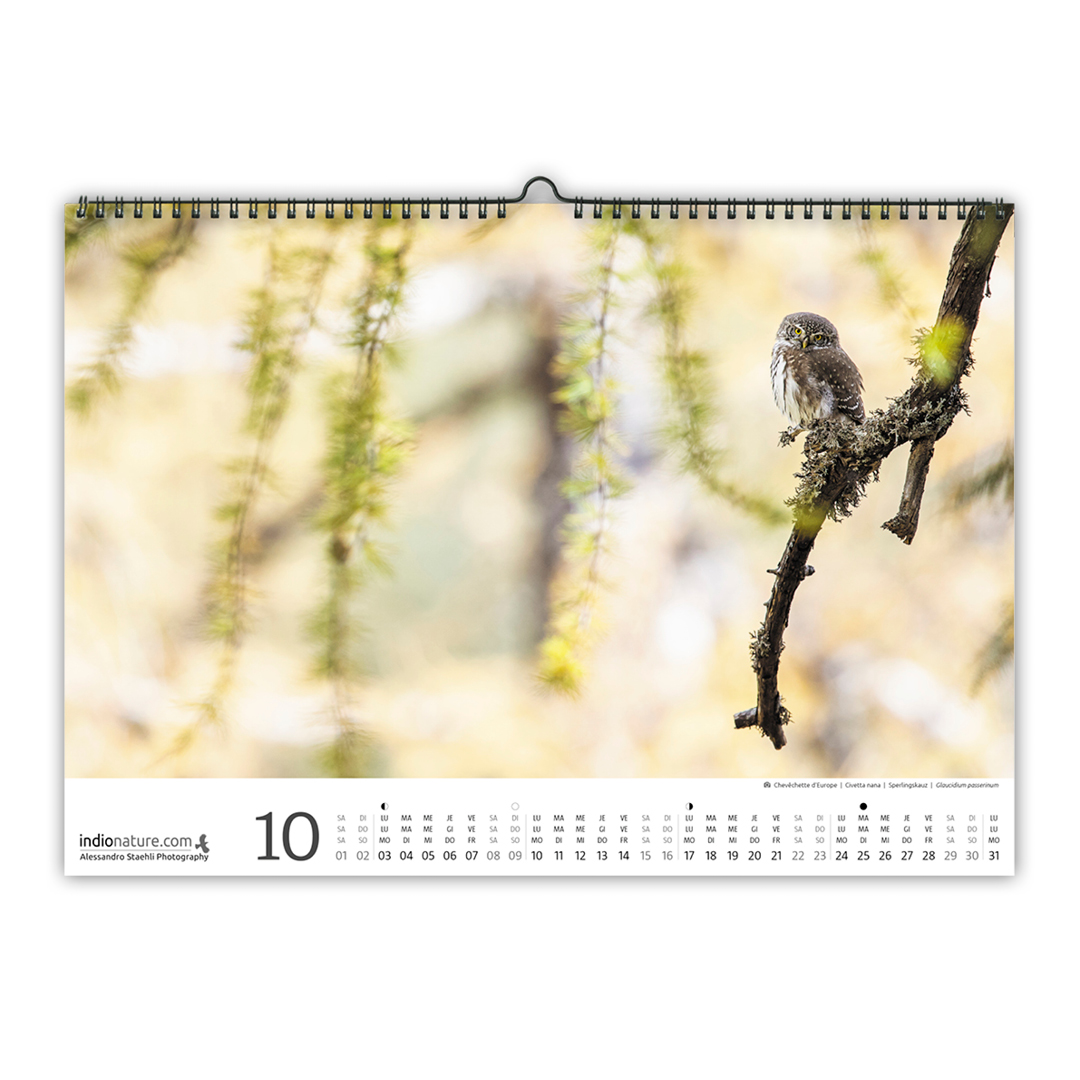 TEST-Calendrier photo mural 2022