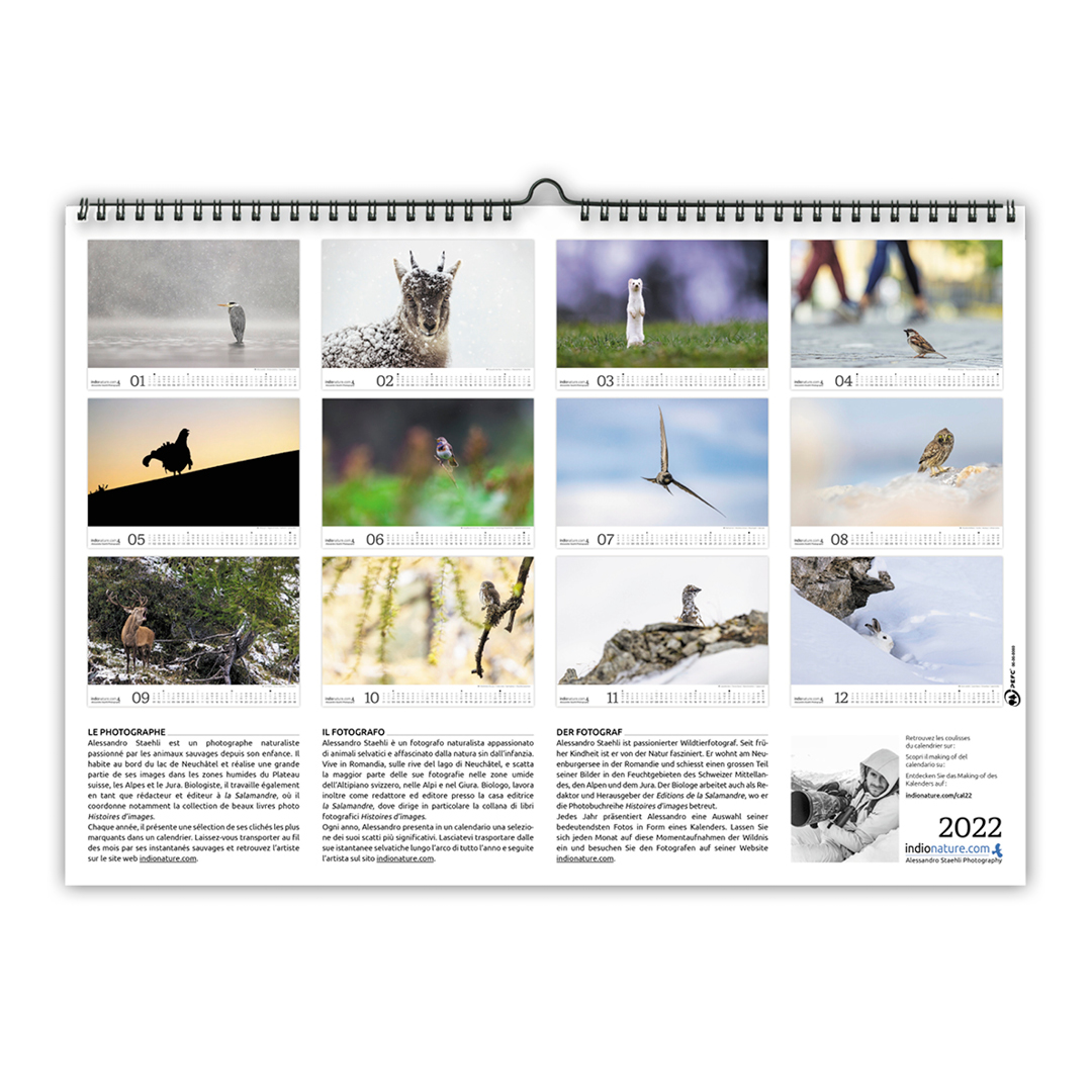 TEST-Calendrier photo mural 2022